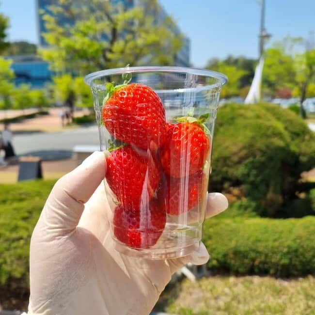 Seoul: Winter Day Tour in Pocheon with Strawberry Picking - Key Points