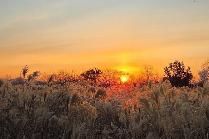 Seoul Winter Sunrise New Year Morning Experience - A Deep Dive into the Experience