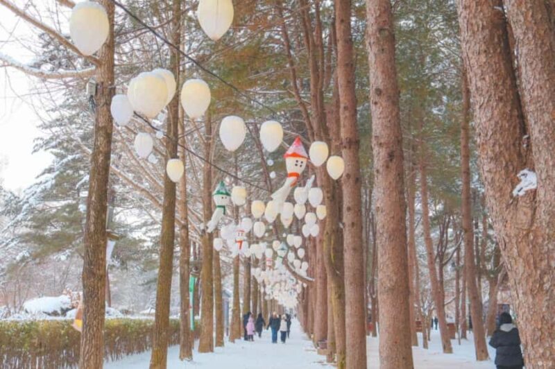 Seoul: Winter Wonder, Mt. Seorak & Nami island & Eobi Valley - FAQ