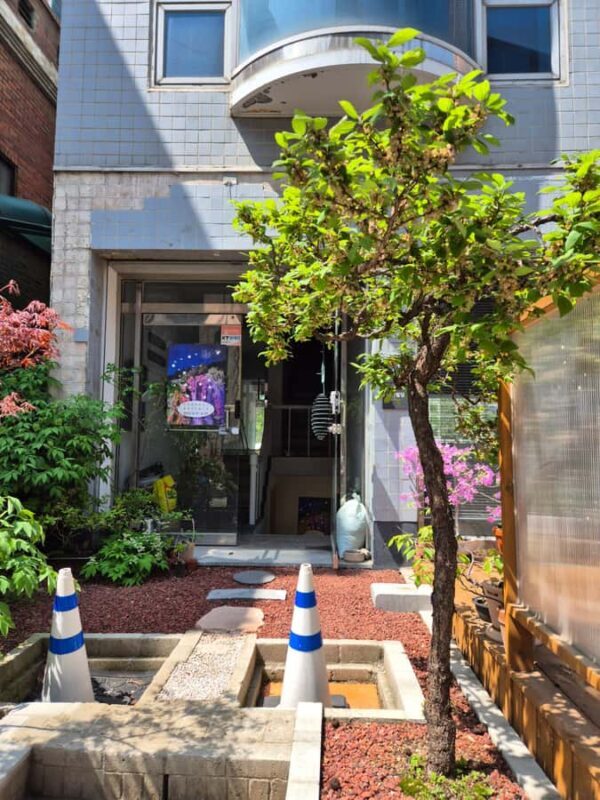 Seoul: Yeonhui Art Fair, Exhibition, Gallery Walking Tour - Who Will Enjoy This Tour?