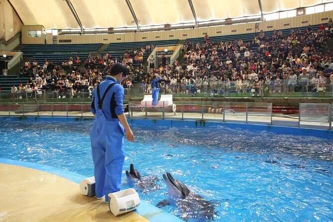 Seoulland & Seoul Zoo Discount Ticket(+  *) - Frequently Asked Questions