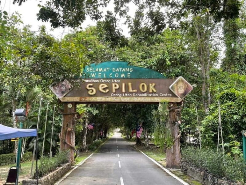 Sepilok OrangUtan, Sun Bear & Labuk Bay Full Day Trip - A Closer Look at the Itinerary