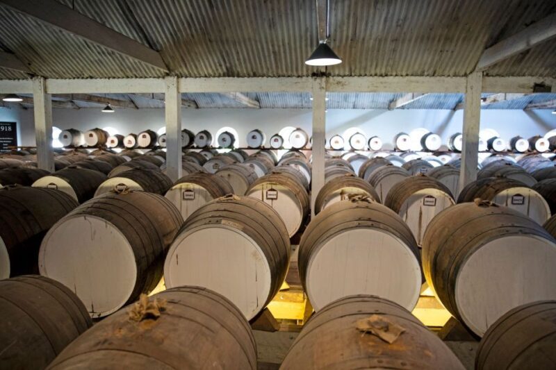 Seppeltsfield Winery: Tour and 100-Year-Old Wine Tasting - An In-Depth Look at the Tour Experience