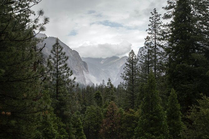 sequoia-full-day-private-tour-and-hike
