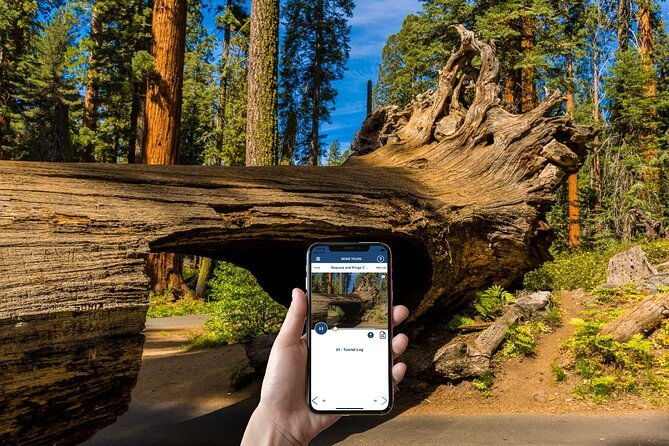 sequoia-kings-canyon-np-self-guided-driving-audio-tour