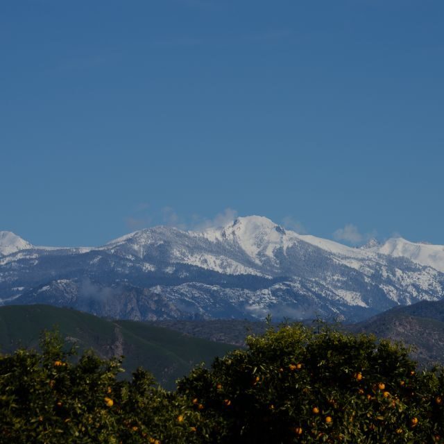 Sequoia National Park: Sherman Tree & Congress Trail Walk - Practical Details & Tips