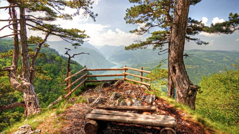 Serbia: Drina River House & Tara National Park Full Day Tour - Key Points