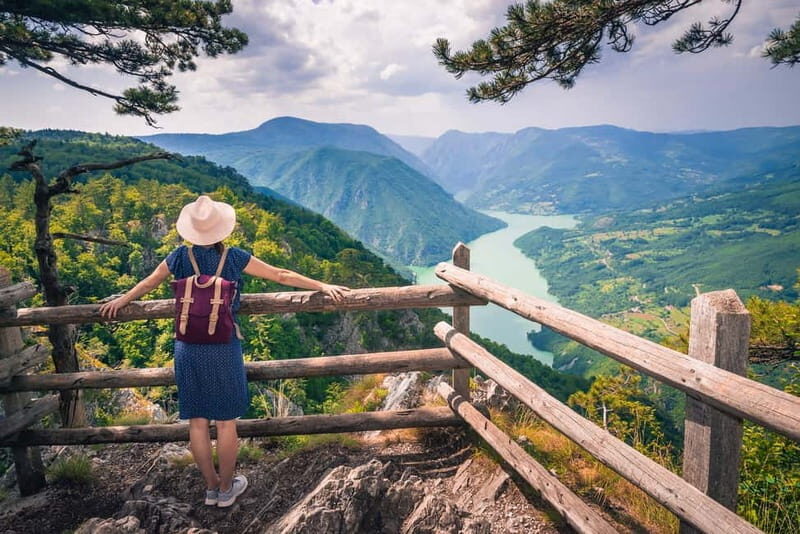 Serbia: Drina River House & Tara National Park Full Day Tour - The Itinerary Breakdown: What to Expect