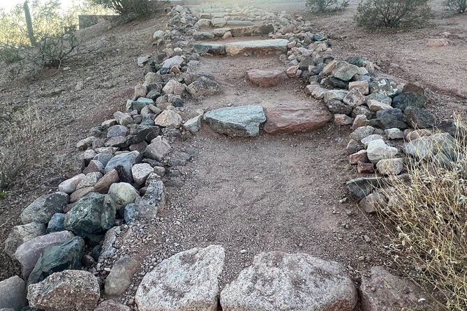 serene-botanical-tour-of-the-sonoran-desert-guided-nature-walk