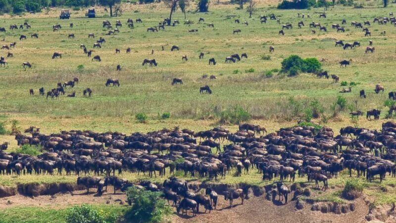 Serengeti: 4days private luxury Big Five Wildlife Expedition - Practical Information