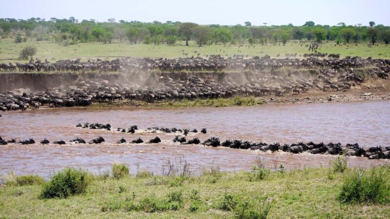 Serengeti: 5-Day Mara River Crossing Safari - An Honest Look at the 5-Day Mara River Crossing Safari in the Serengeti