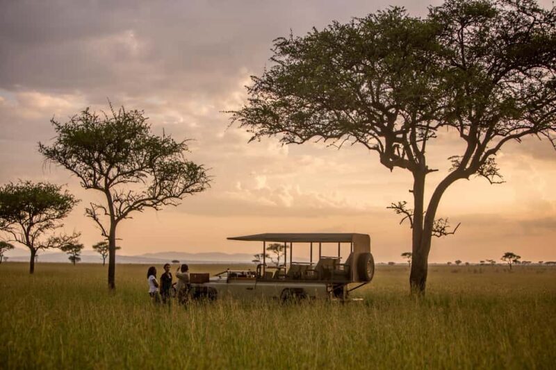 Serengeti: 7-Day Great Migration Safari with Flights - Key Points