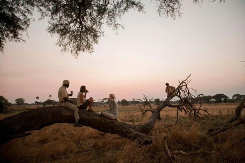 Serengeti: 7-Day Great Migration Safari with Flights - An In-Depth Look at the 7-Day Serengeti Migration Safari