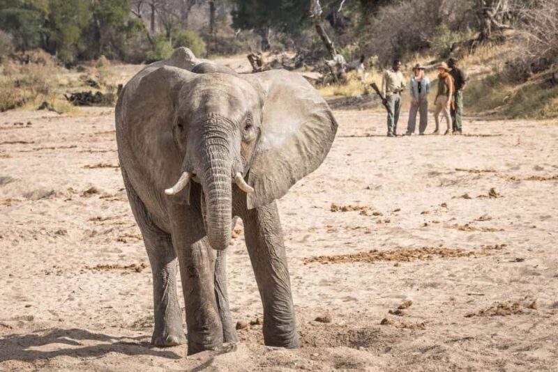 Serengeti: 7-Day Great Migration Safari with Flights - FAQ