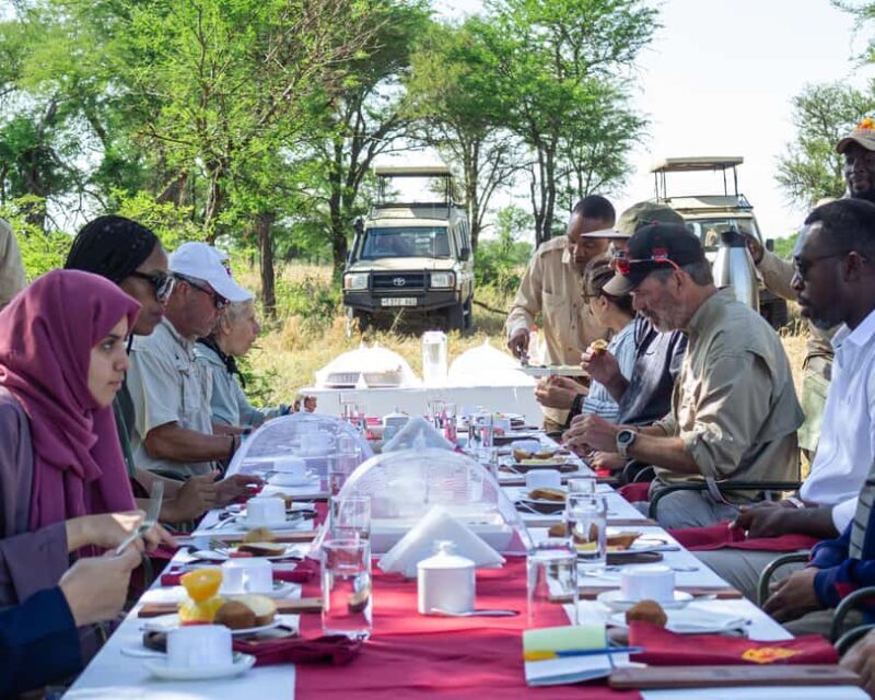 Serengeti Balloon Ride and Luxury Bush Breakfast - Who Will Love This Tour?