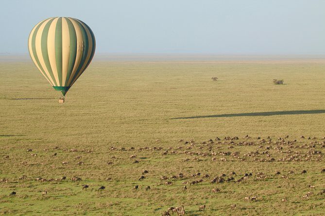 Serengeti Balloon Safari and authentic bush breakfast - FAQ