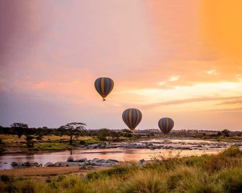 Serengeti: Balloon Safari and Bush Breakfast - An In-Depth Look at the Serengeti Balloon Safari Experience