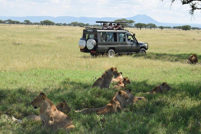 Serengeti Day Trip Safari From Mwanza Tanzania - FAQ