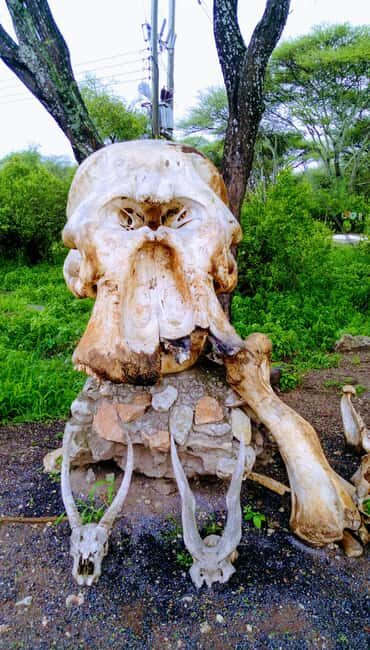 Serengeti Explorer: 6days private safari with game viewing. - Introduction to the Serengeti Explorer Safari