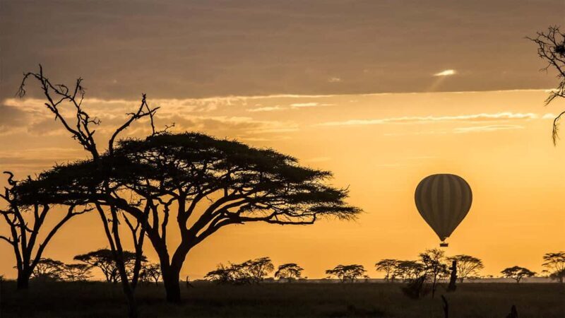 Serengeti National Park: Balloon Safari at Dawn - Champagne Toast & Bush Breakfast
