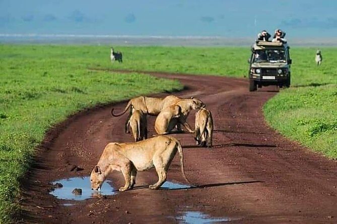 Serengeti national Park, ngorongoro conservation area 3 days two nights - Key Points