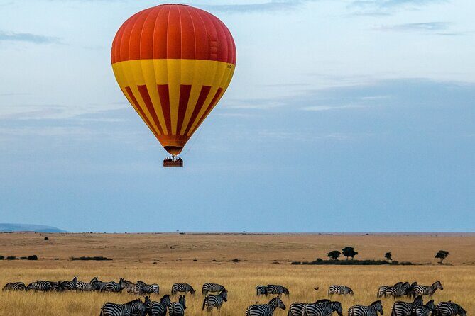 Serengeti & Ngorongoro 3 Days Budget Safari - Introduction