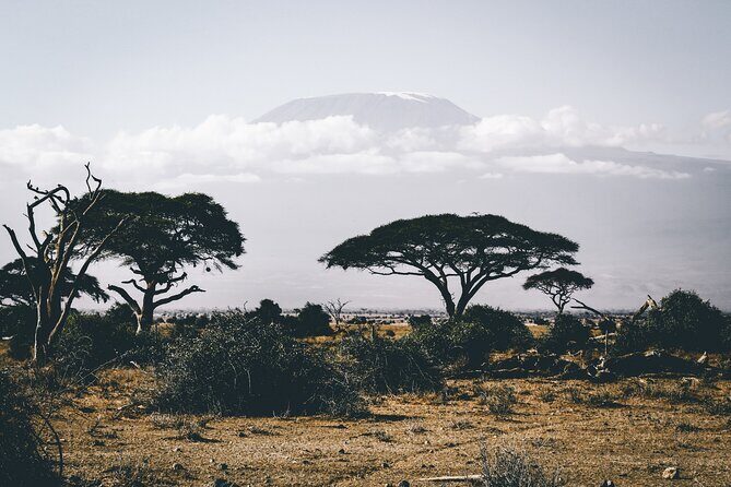 Serengeti & Ngorongoro 3 Days Budget Safari - Practicalities and Tips