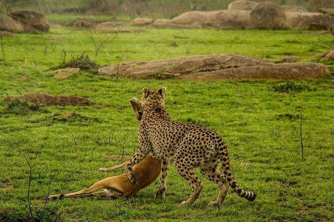 Serengeti & Ngorongoro 3 days Fly Safari in from Zanzibar - The Value Proposition