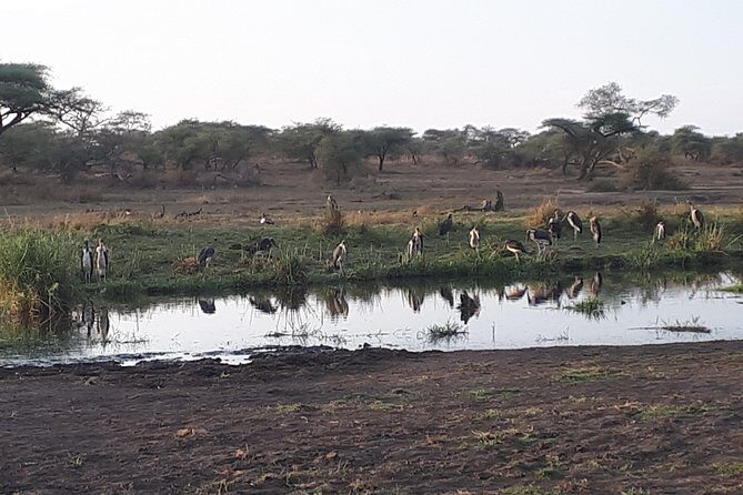 serengeti & ngorongoro 3 days private tour - Practical Considerations