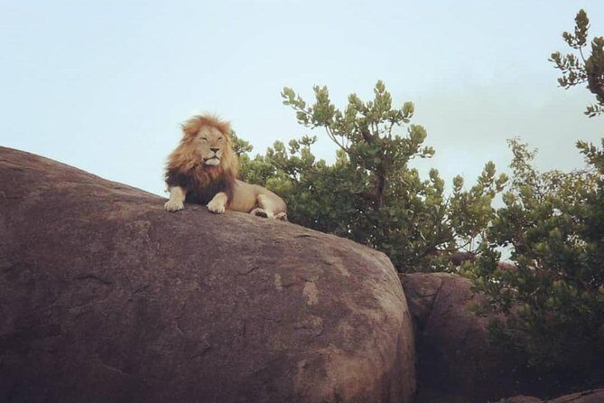 Serengeti & Ngorongoro fly in safari - Practical Considerations