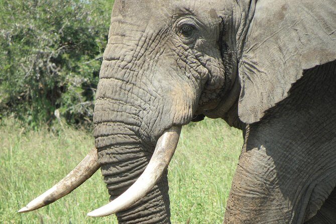 Serengeti Safari with Sirikwa Travel - Exploring the Itinerary in Detail