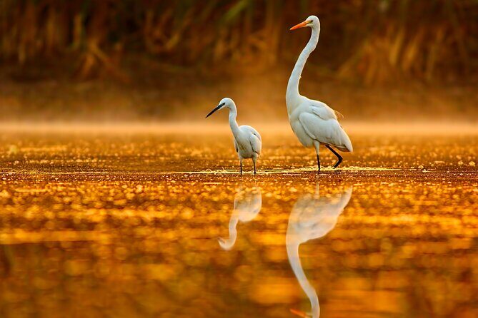 Serenity Cruise to Australia's Everglades - Final Thoughts — Is It Worth It?  
