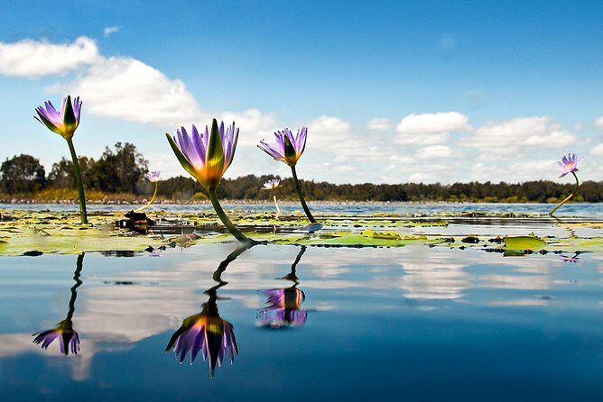 Serenity Cruise to Australia's Everglades - Frequently Asked Questions (FAQs)