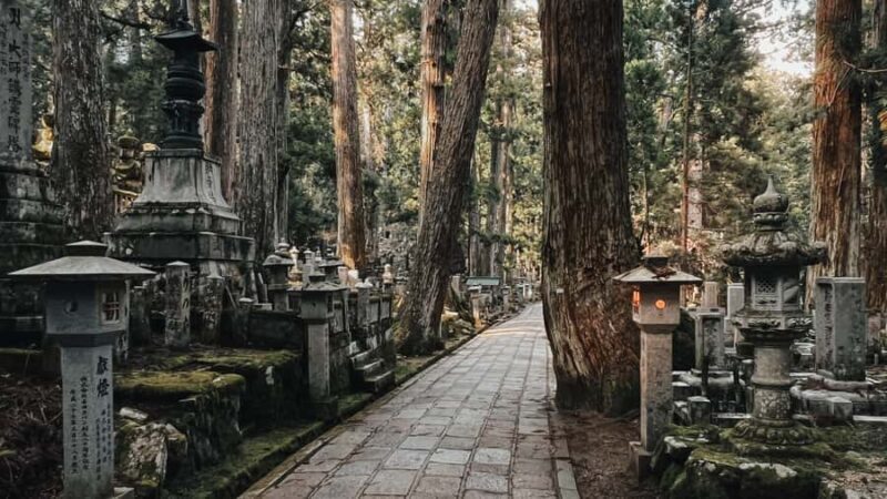 Serenity & Sacred Sites: Koyasan Full-Day Guided Walk - A Detailed Look at the Koyasan Sacred Walk