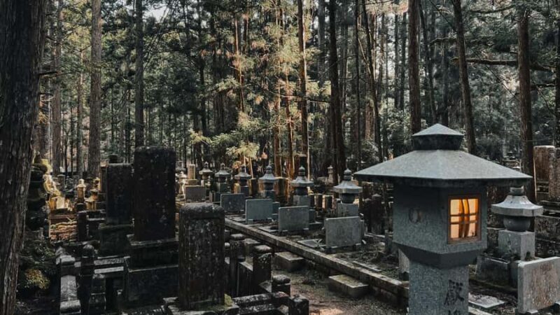 Serenity & Sacred Sites: Koyasan Full-Day Guided Walk - What Travelers Say