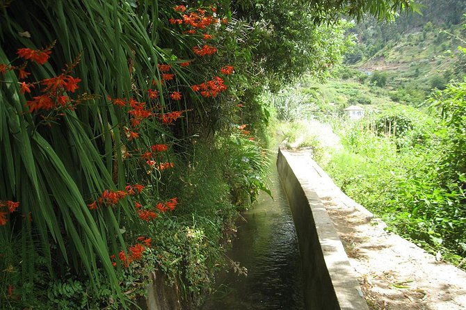 serra-da-agua-valley-levada-walk