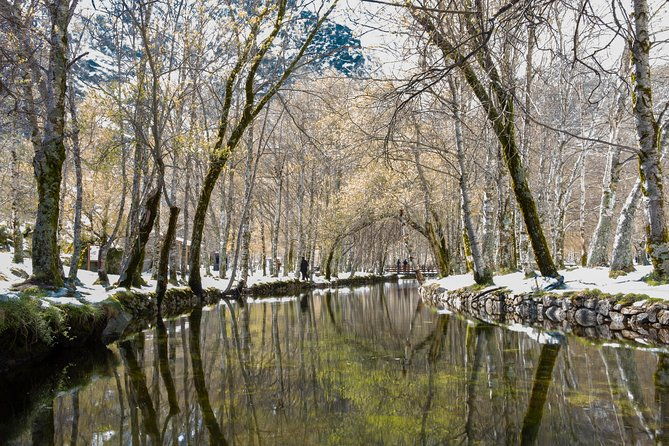 serra-da-estrela-full-day-private-tour