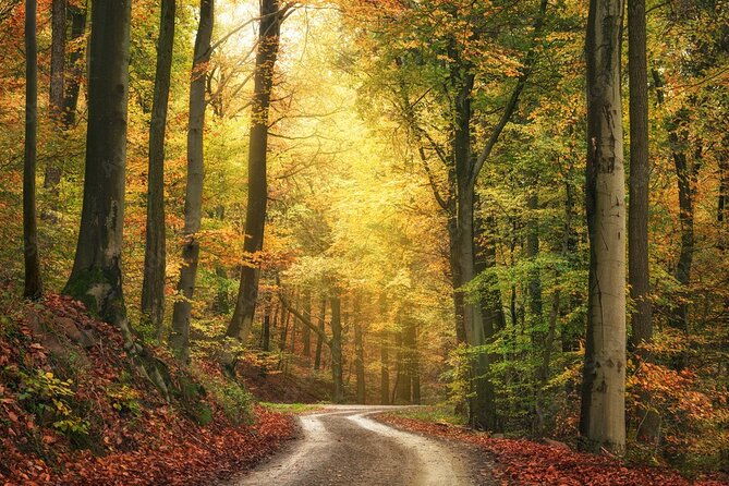 serra-da-estrela-nature-and-adventure-private-tour