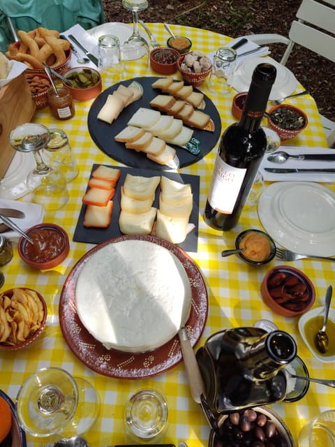 serra-da-estrela-serra-da-estrela-cheese-tasting