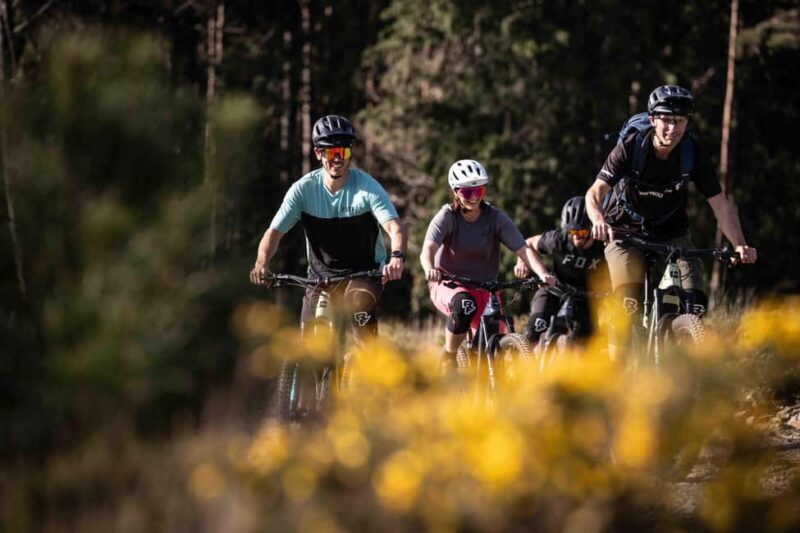 Serra da Lousã: Aldeias do Xisto Bike Tour with Local Guide - Exploring the Serra da Lousã: What to Expect