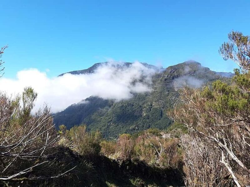 Serra dÁgua: A Scenic Levada Walk - The Experience from the Reviews