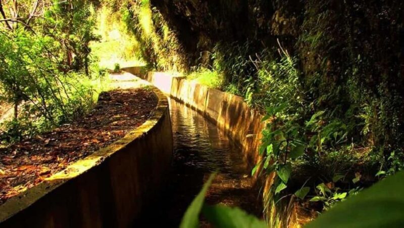 Serra dÁgua: A Scenic Levada Walk - Practical Details and Tips