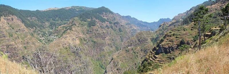 Serra dÁgua: A Scenic Levada Walk - The Sum Up