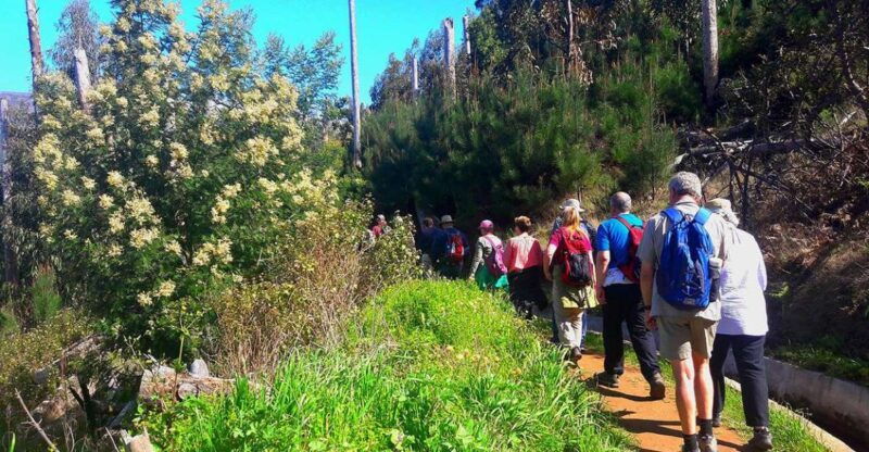 serra-de-agua-valley-levada-walk