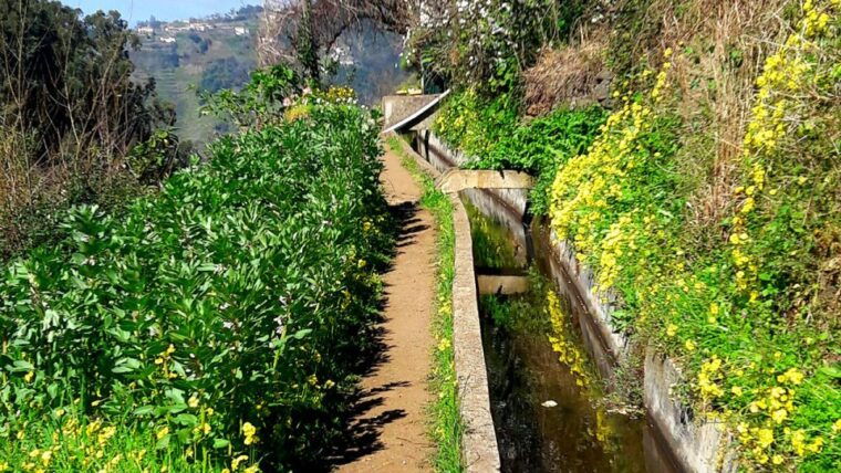serra-de-agua-valley-levada-walk
