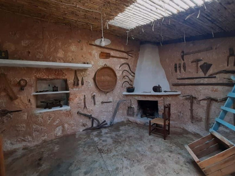 Serra de Tramuntana, Fornalutx: The olive tree: culture, cultivation, tasting. - FAQs