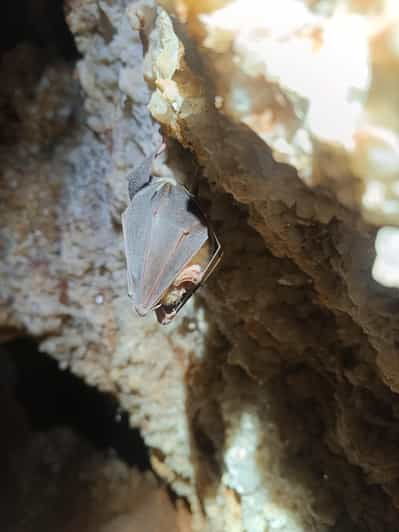serra-dos-candeeiros-alcobertas-cave-and-the-natural-park
