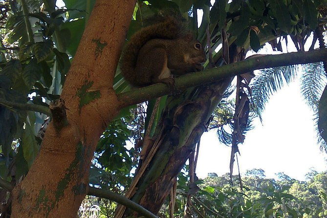 serra-dos-orgaos-national-park-ecotour