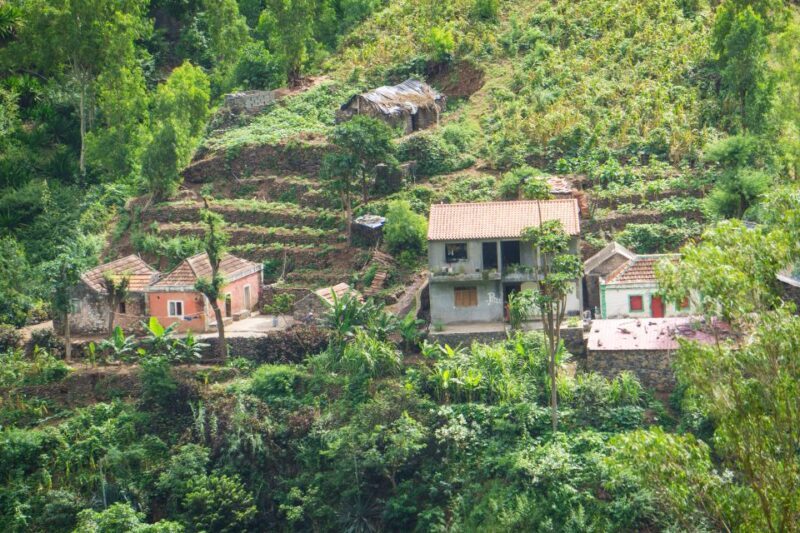 Serra Malagueta Natural Park: Hike to Gongon Valley & Lunch - Practical Tips for Your Hike