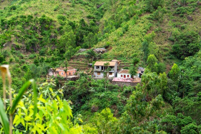 Serra Malagueta: Principal Valley Hike & Lunch with Locals - Authentic Reviews and What They Tell Us